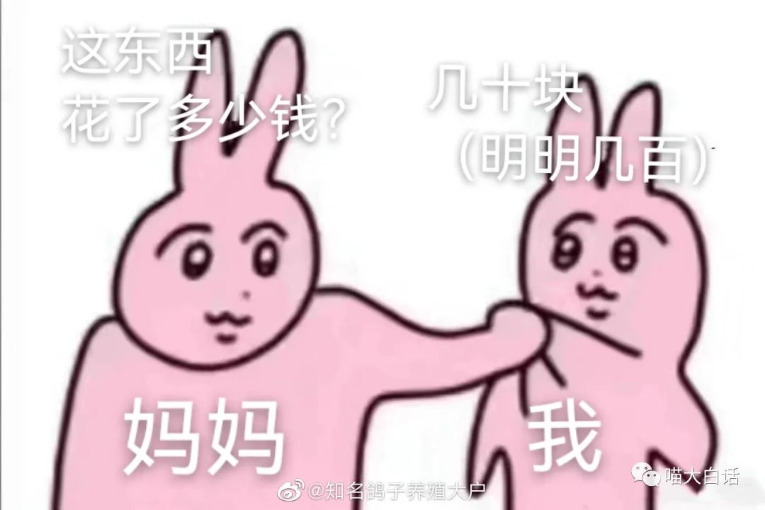 背德文学啥意思,背德文学是什么