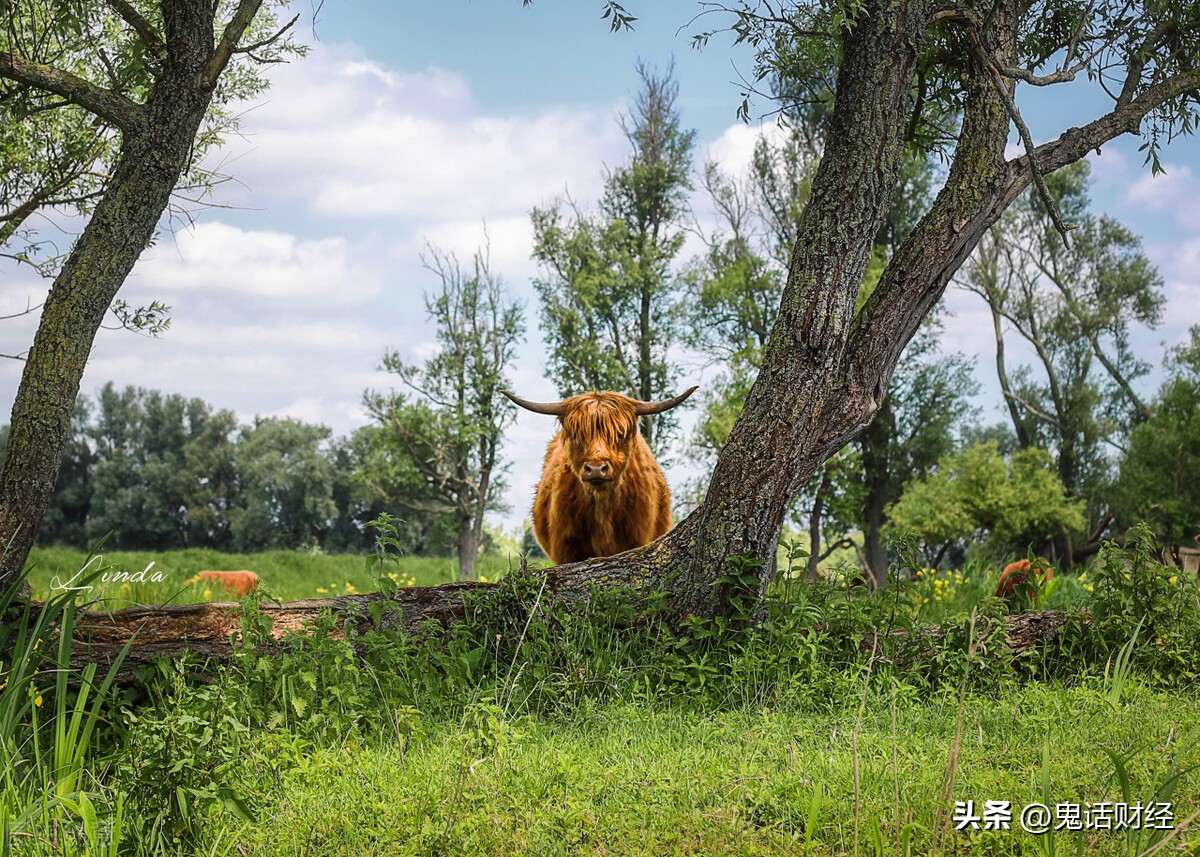 编写招股说明书,提交招股说明书说明什么