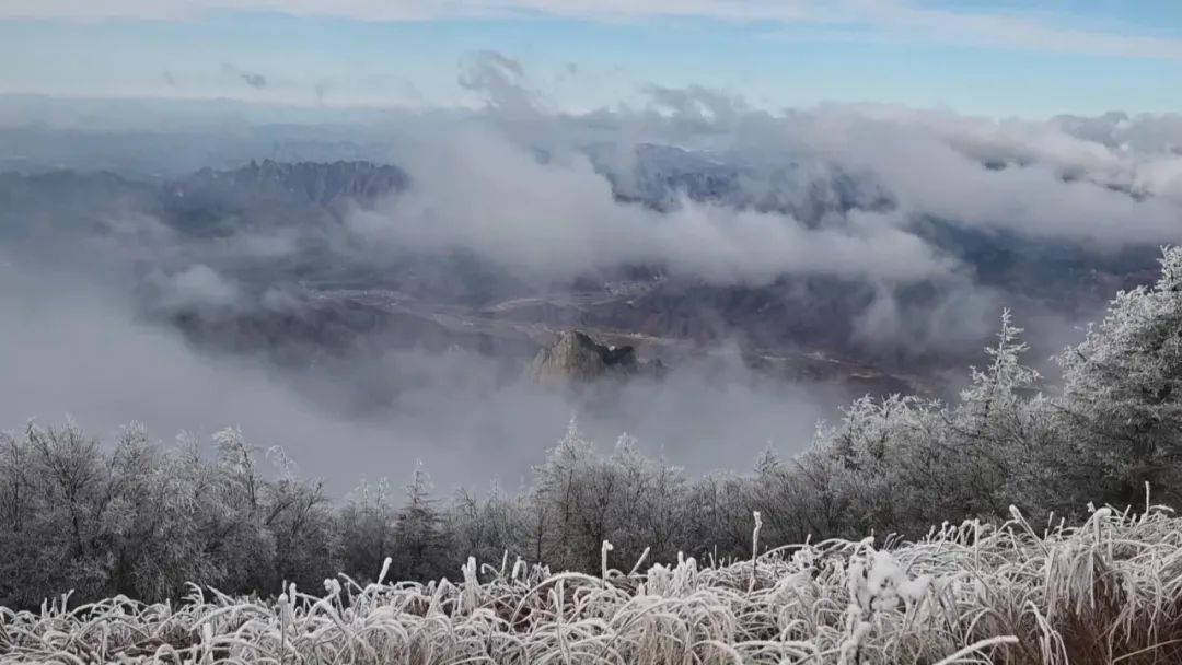 承德雾灵山一日游,河北兴隆雾灵山一日游