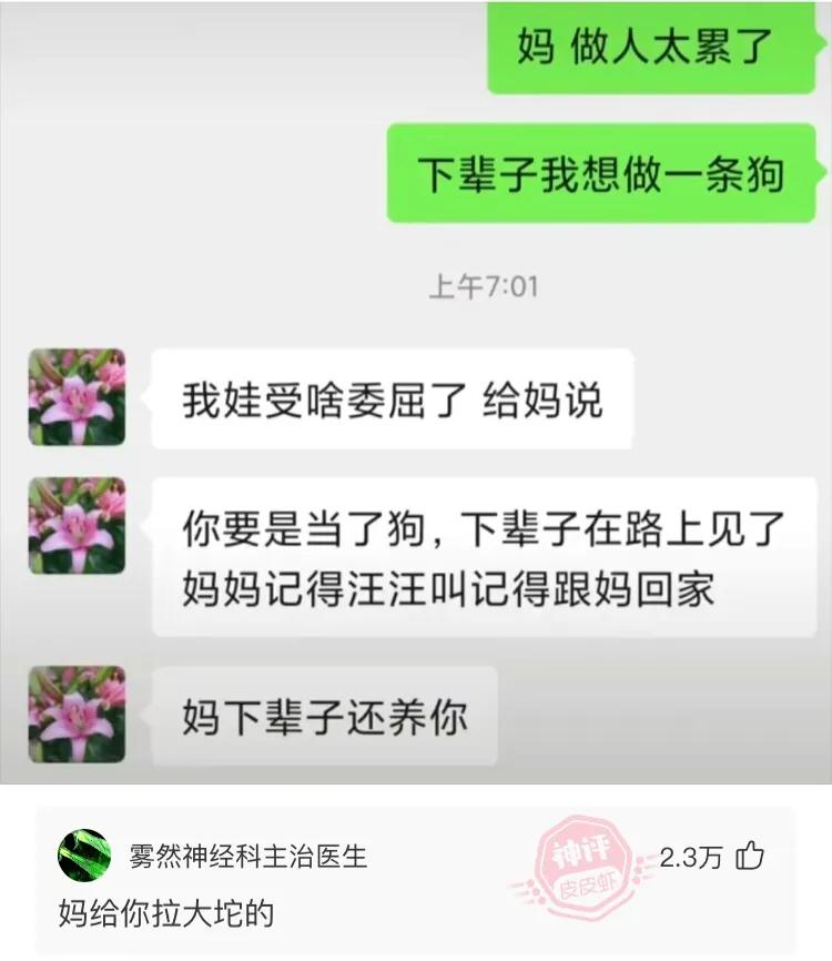 网友们的脑洞大开神评，迟早笑死在评论区。你好，我姓刘，达不刘