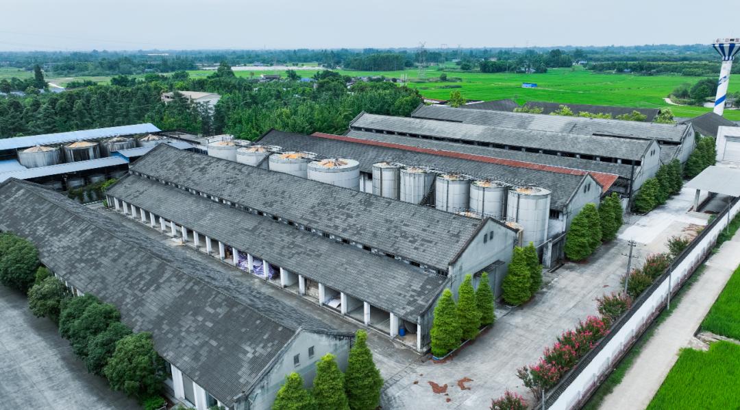 国际权威赛事！邛酒获双金奖、金奖！