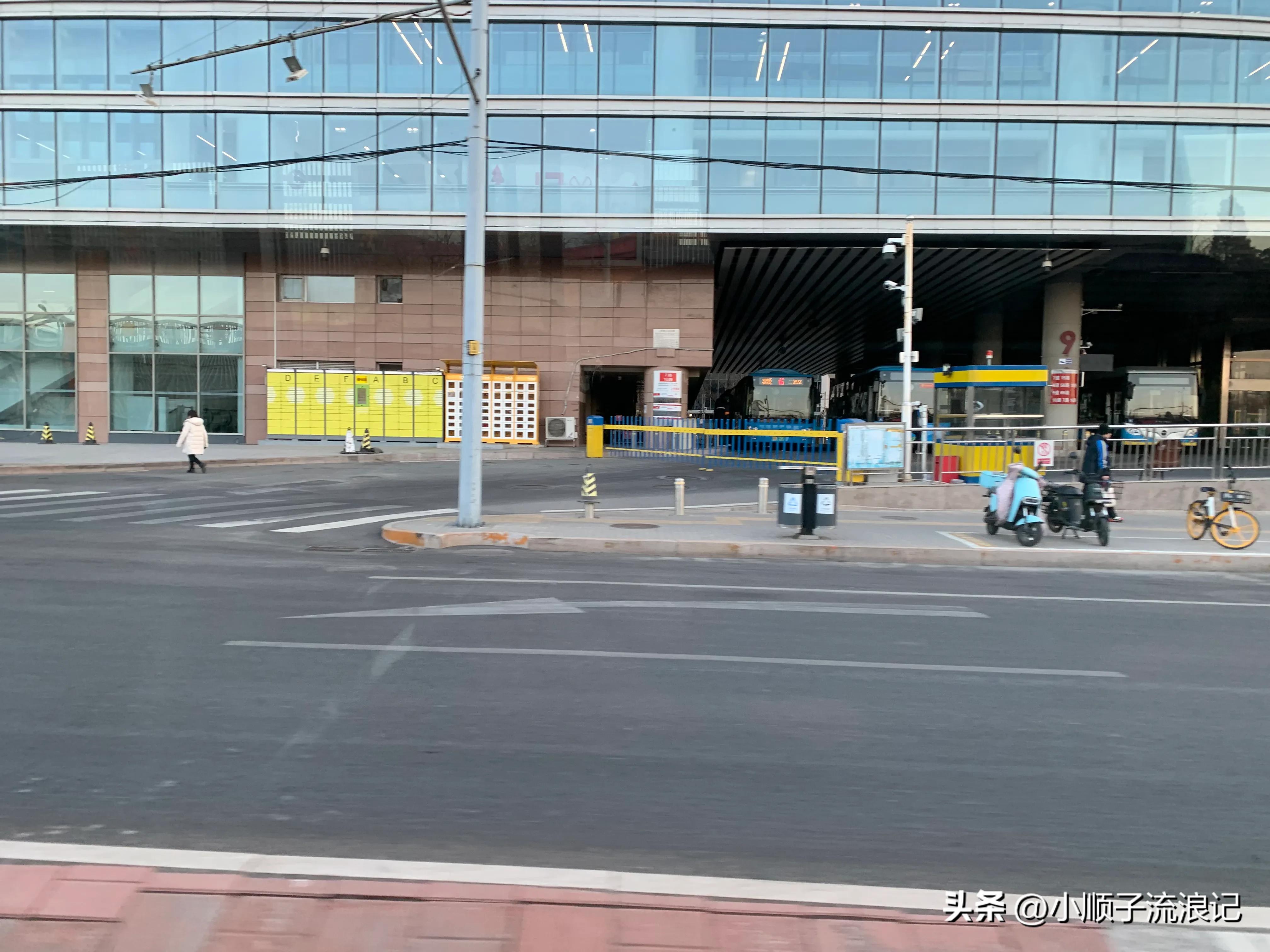 批发市场的动物园在哪里,十年前北京动物园服装批发市场