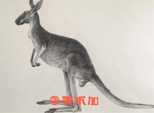 成人自学素描免费课程,素描哪里有培训班