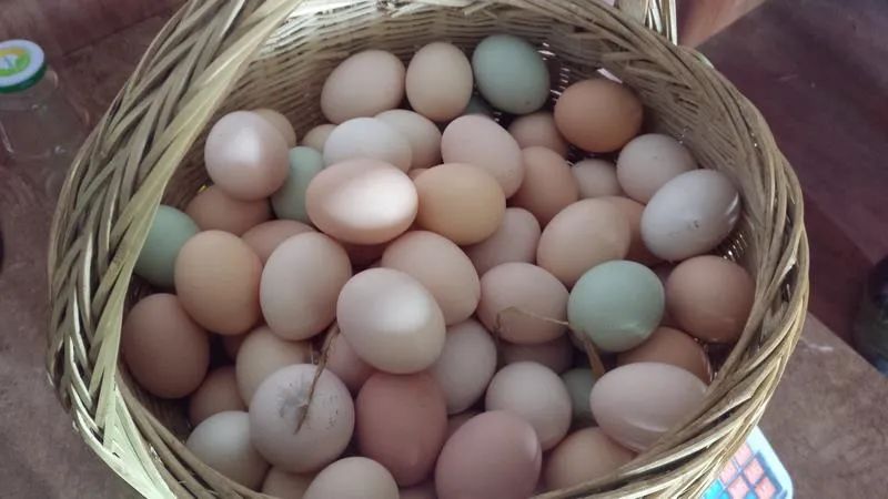 农村集市有哪些东西是正品,农村大集几样东西别买