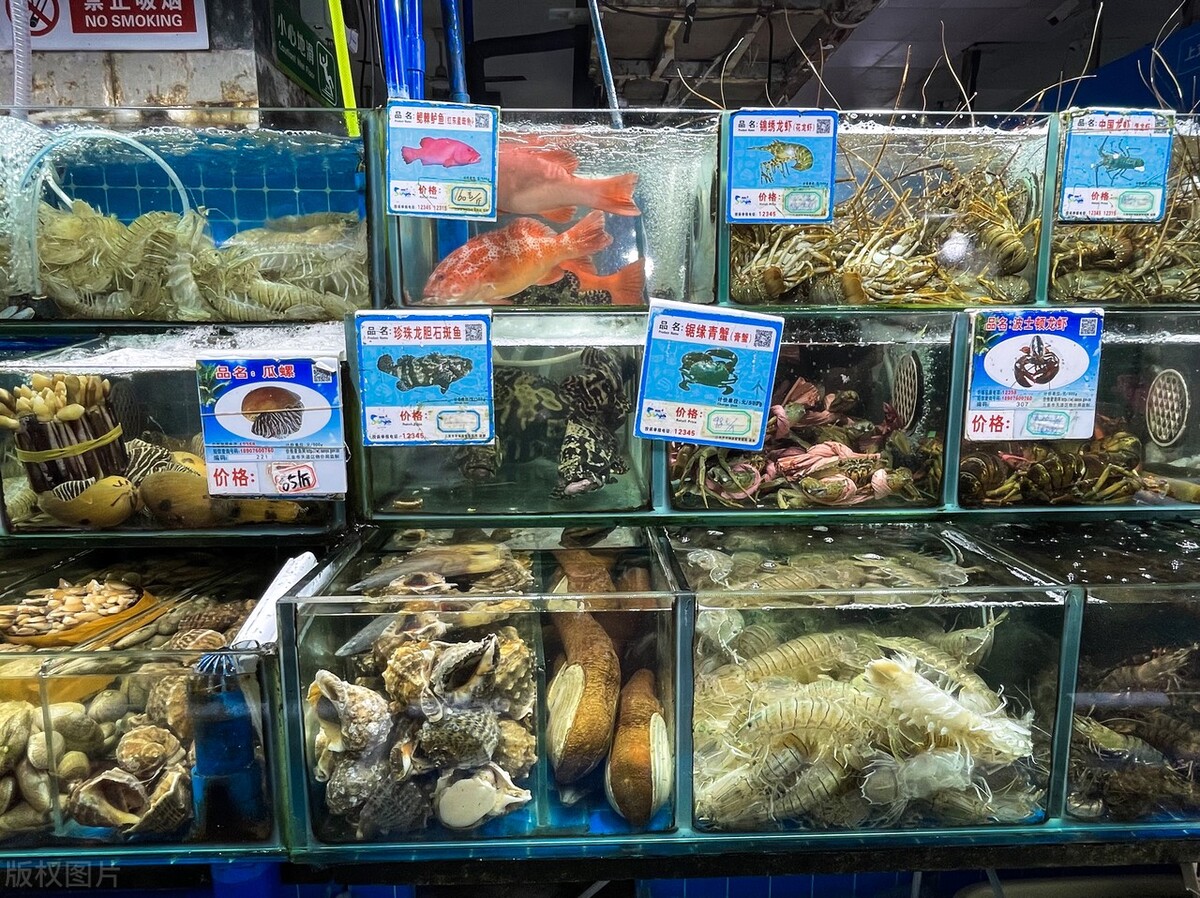 潍坊到三亚旅游攻略7天6晚旅游团,三亚旅游三天两晚详细美食攻略