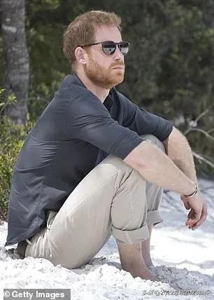 哈里王子新书备胎,哈里王子拟出回忆录