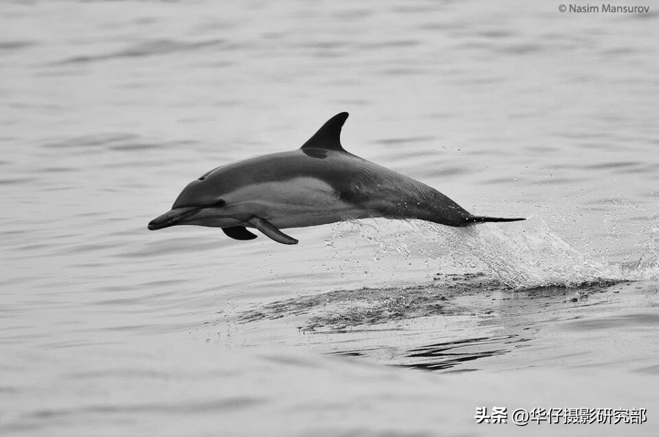 相机拍摄参数设置技巧,相机怎么调拍摄最好看