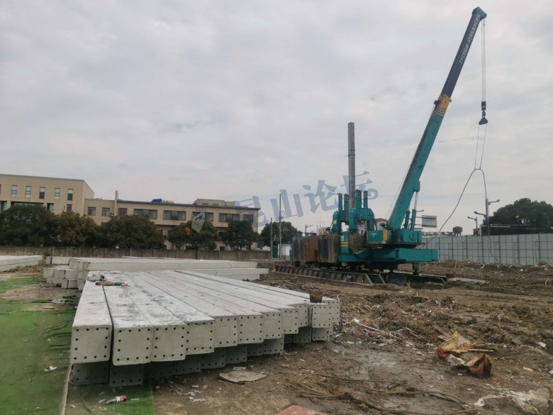 春风又绿江南岸原片,春风又绿江南岸张蓓蓓