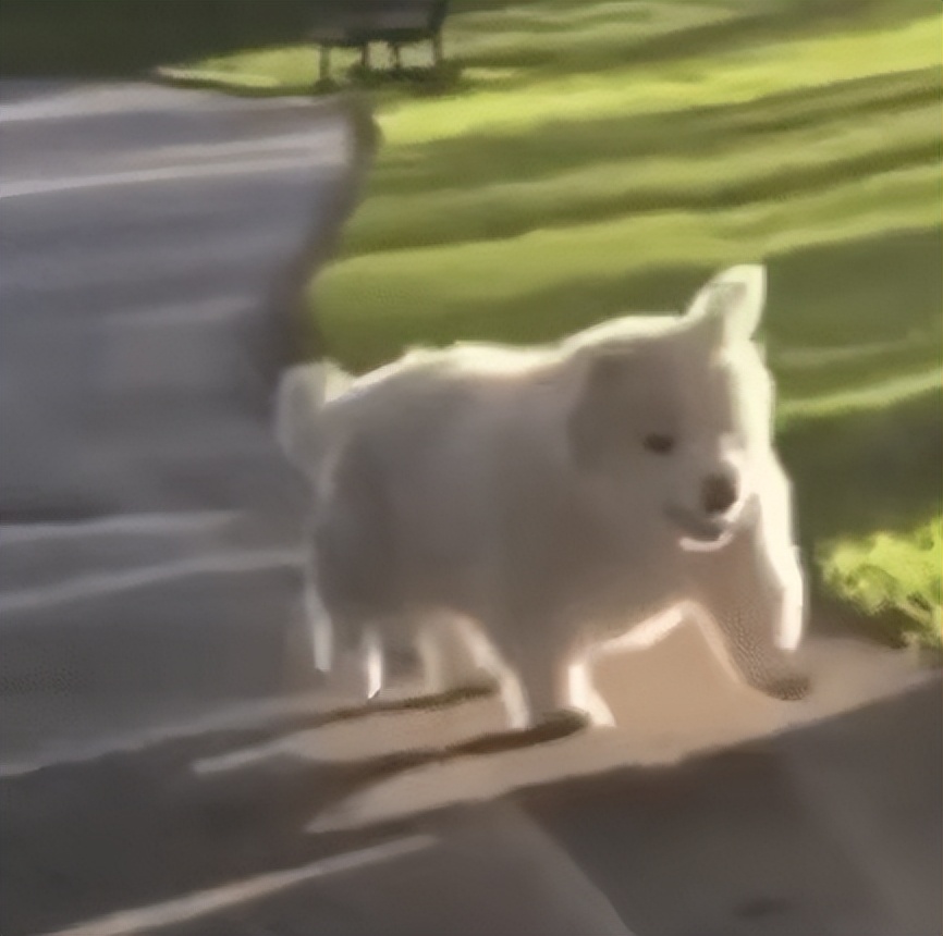 美丽的年末c位口红，氛围感焊死在嘴上！