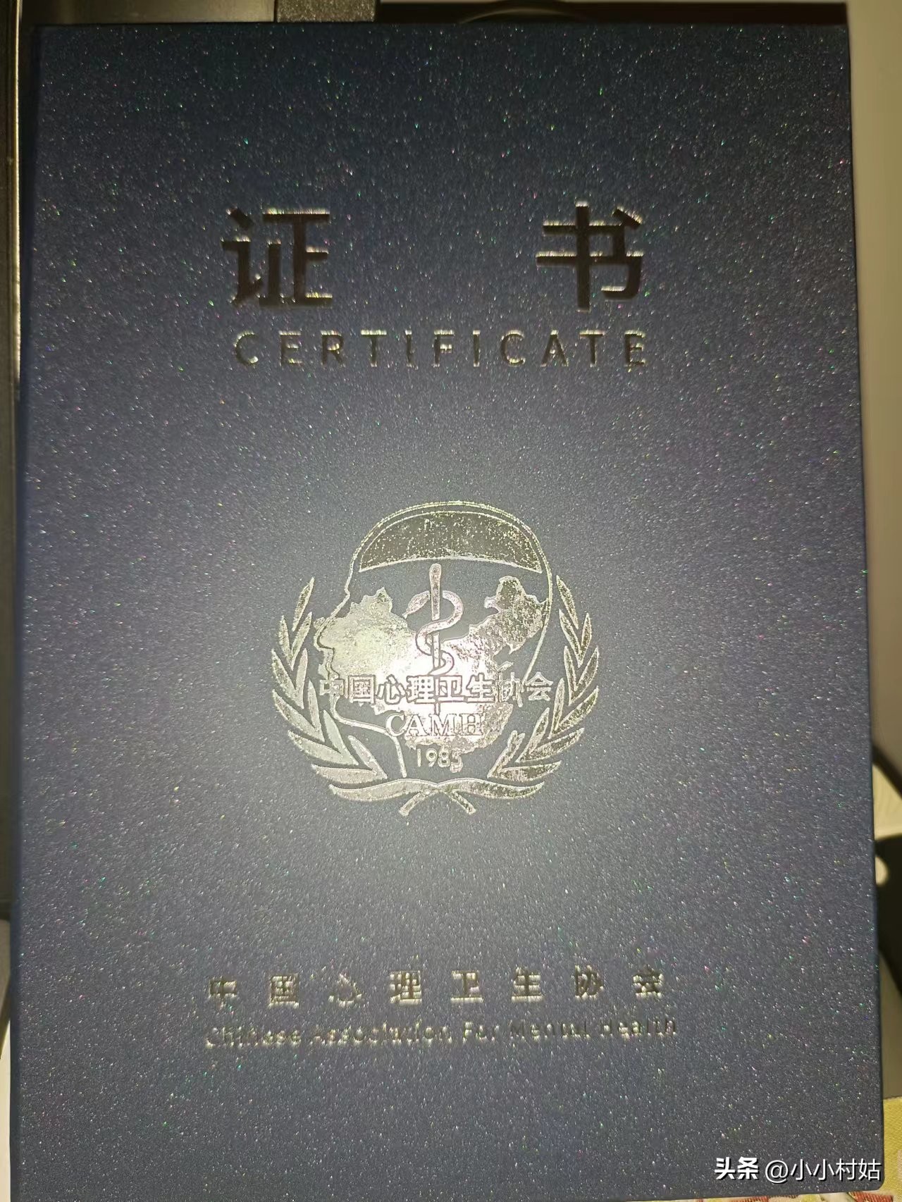 我和心理学的美好相遇演讲,我与心理咨询师的交流