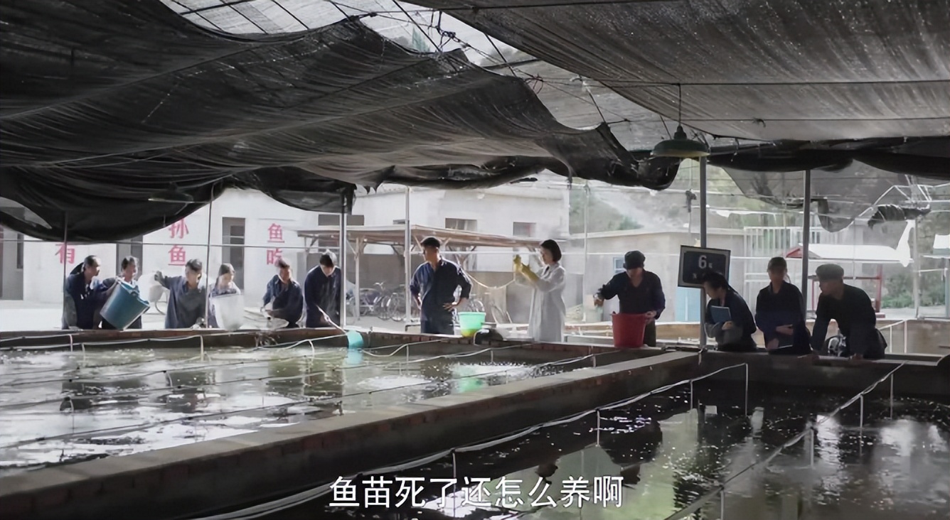 压了几年才播火了的剧,压了很久才播的电视剧