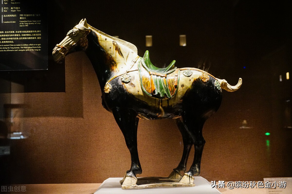 洛阳最值得去玩的旅游景点,洛阳什么地方好玩一日游免费