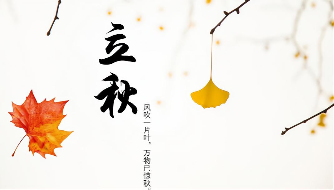 中国文化惊艳世界二十四节气,中国二十四节气分别是什么