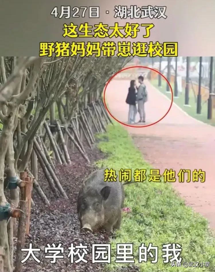 武汉必做的十件事,2017在武汉一定不可错过的10件事