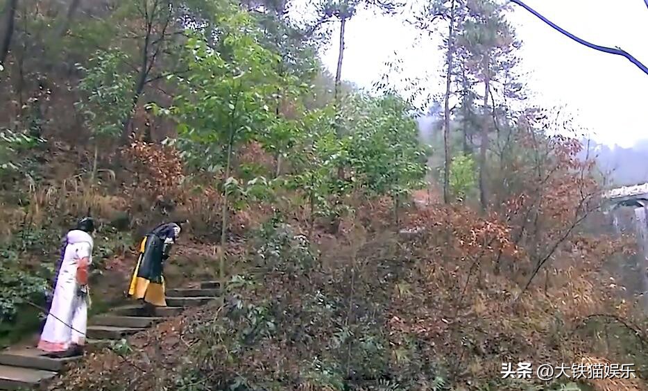 张雪迎舒畅董鄂妃,孝庄秘史董鄂妃舒畅和霍思燕