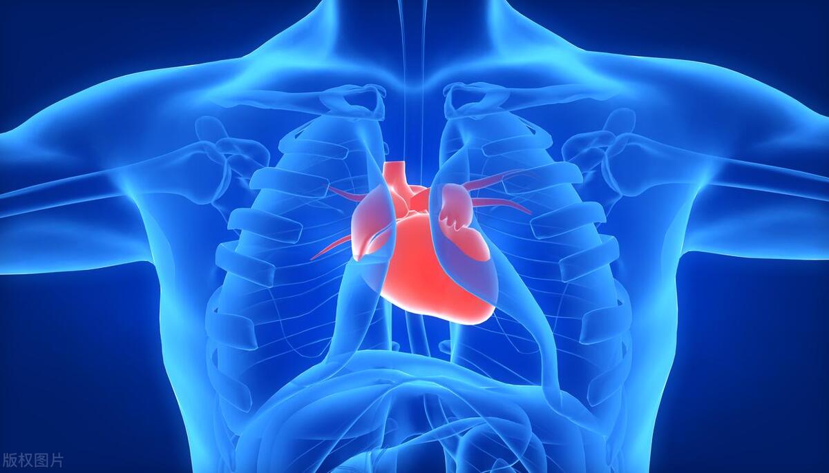 正常人心跳频率多少是正常范围,心跳快慢与寿命长短有什么关系