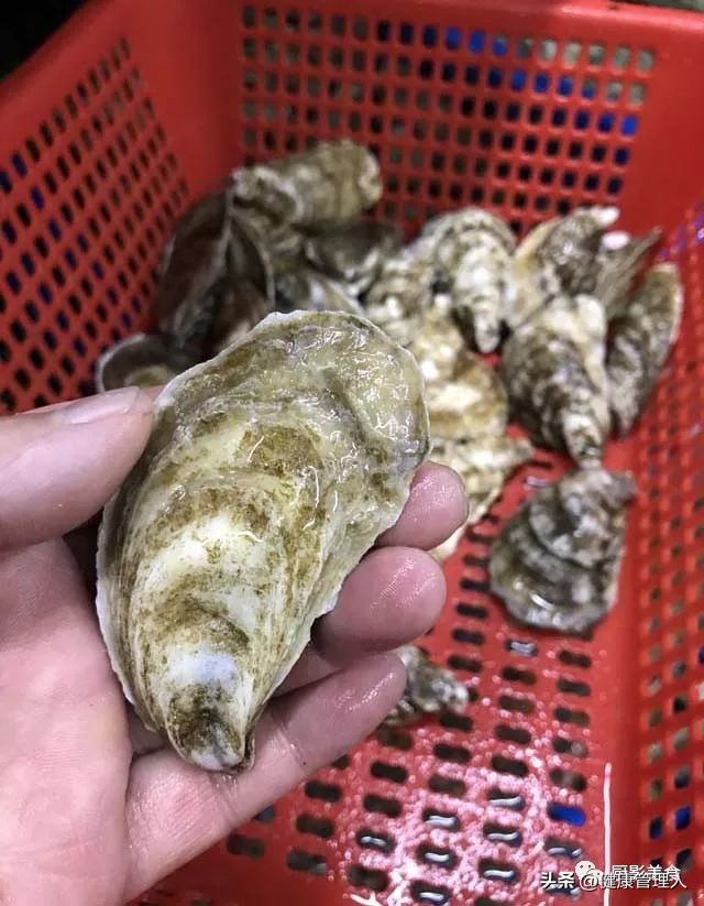 世界顶级海鲜食材,世界顶级的海鲜视频