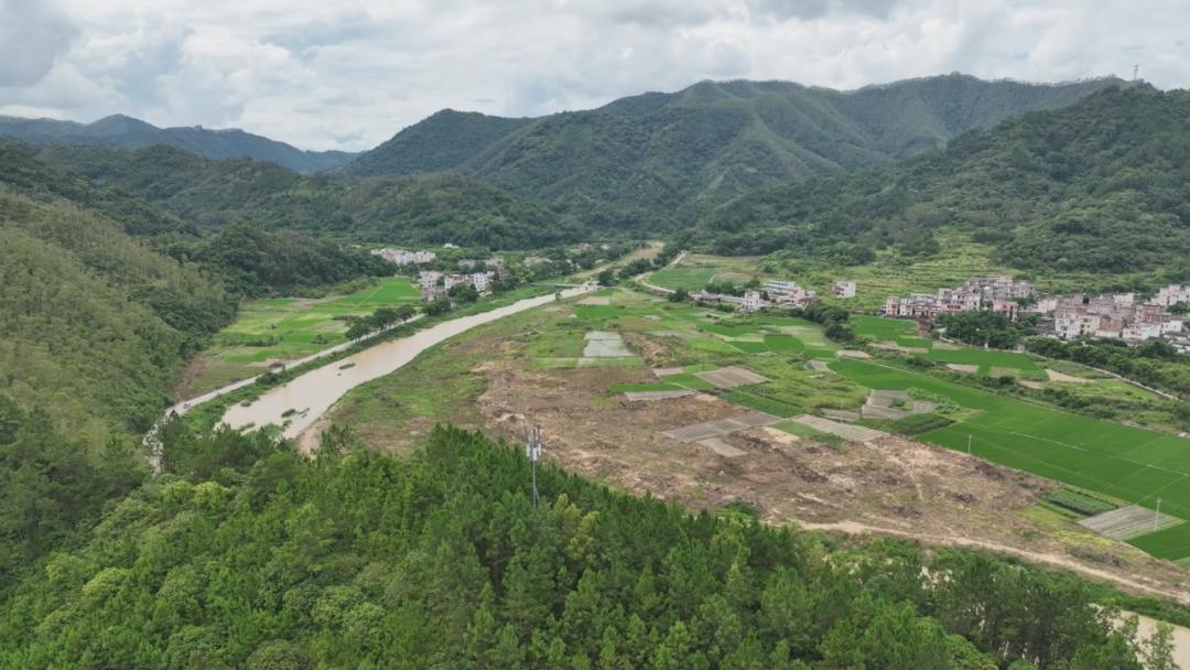 小蜜蜂酿出甜蜜大产业,白沙村小蜜蜂酿出甜蜜大产业