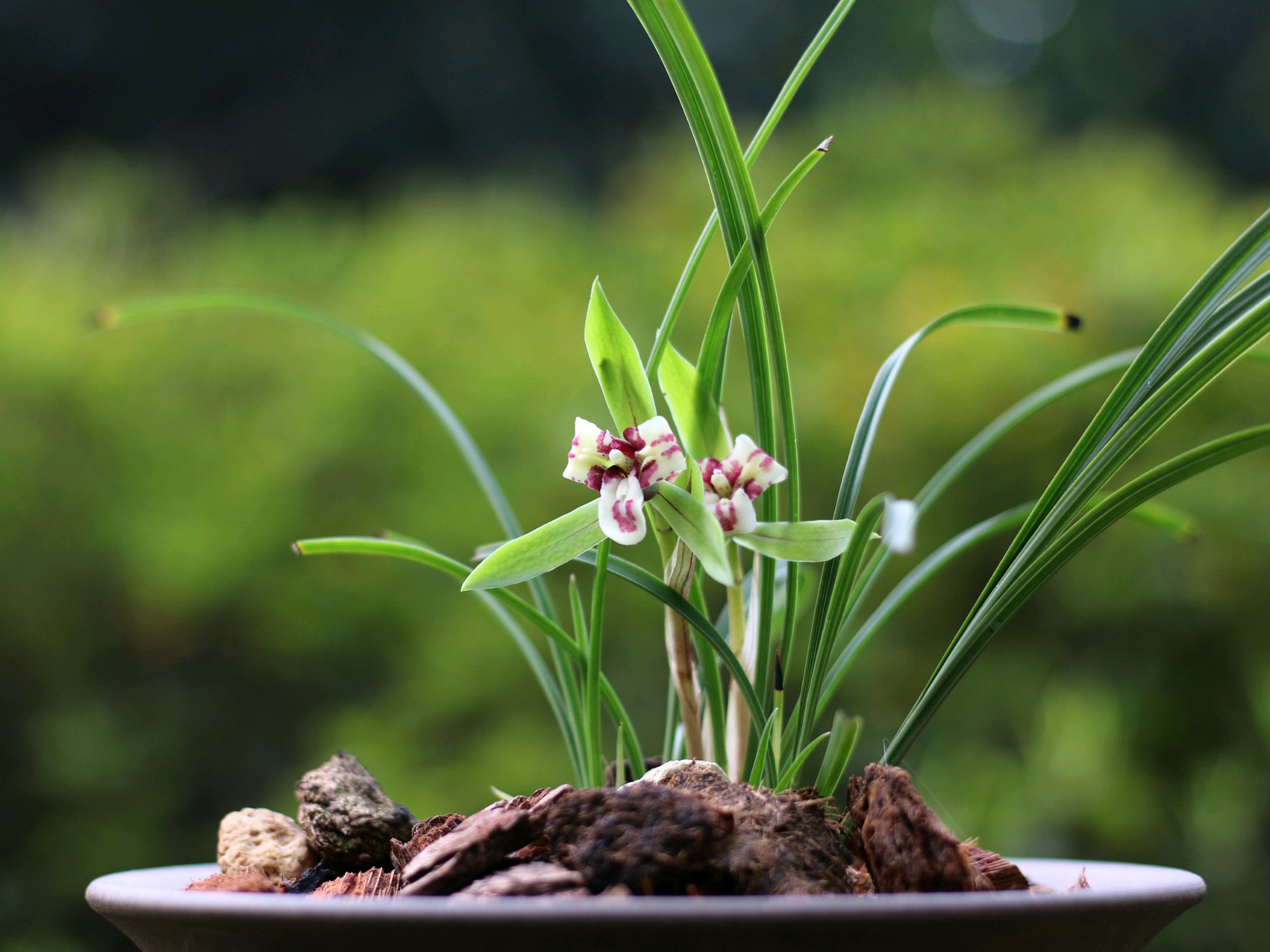 2023年努力赚钱,2023年努力赚钱然后好好照顾自己