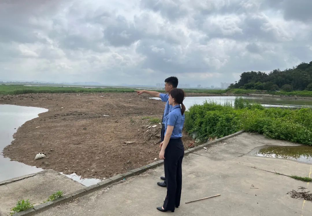 湿地保护公益诉讼典型案例,最高检河道治理公益诉讼典型案例