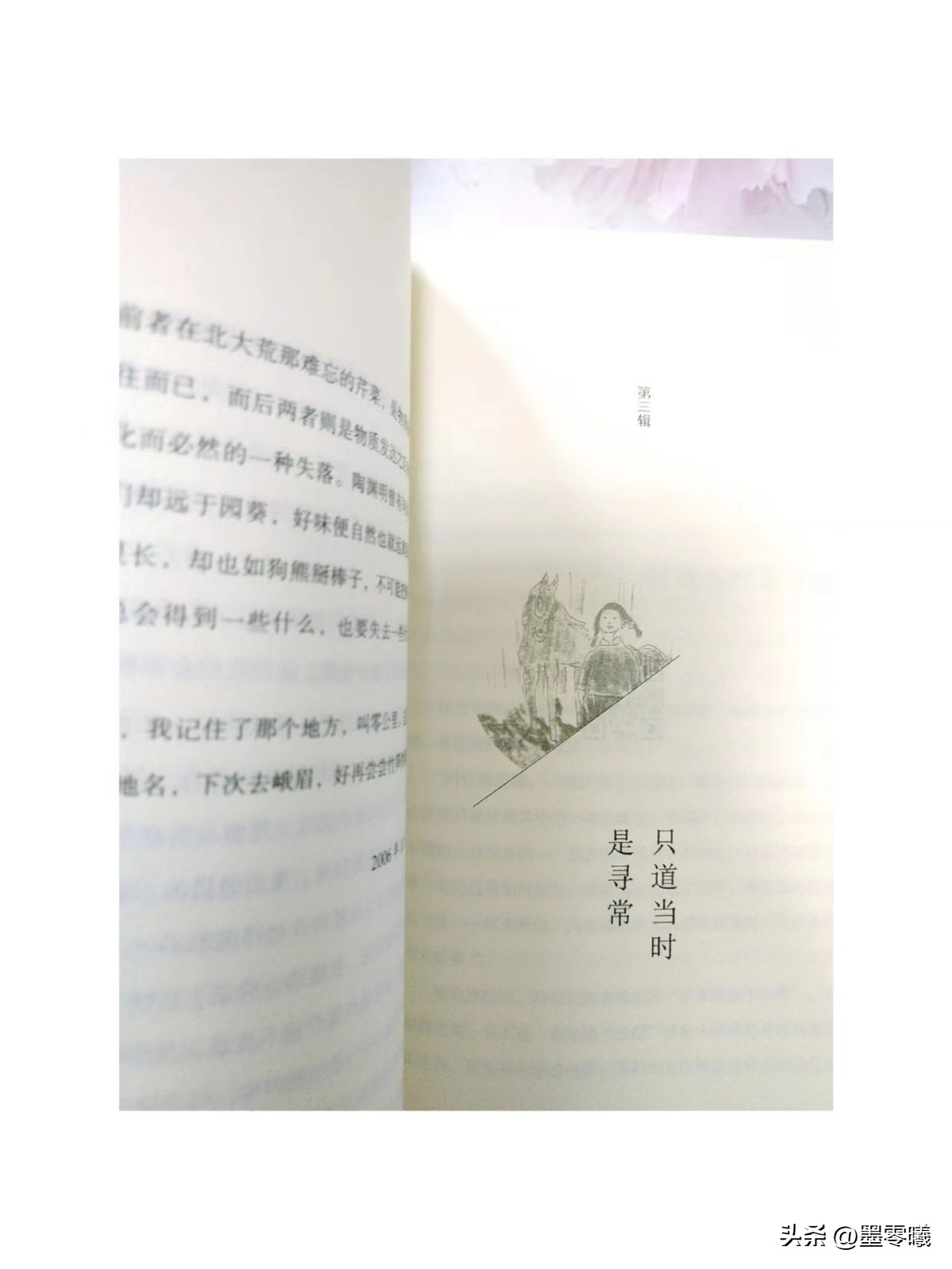 一朵花的盛开需要经历四季的流转,一朵花绽放整个春天