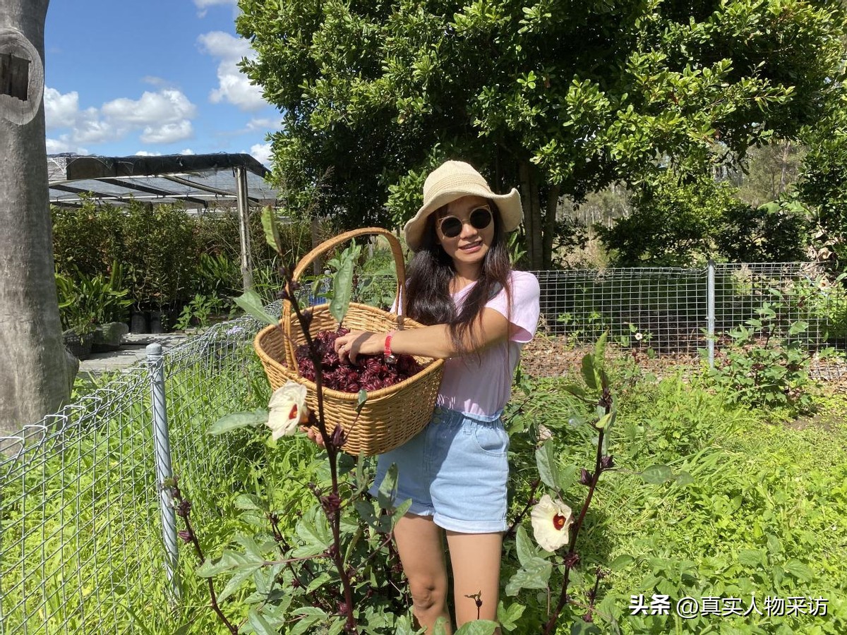 我被骗百万，卖掉北京房产，临近50岁来到澳洲，如今只觉得富有
