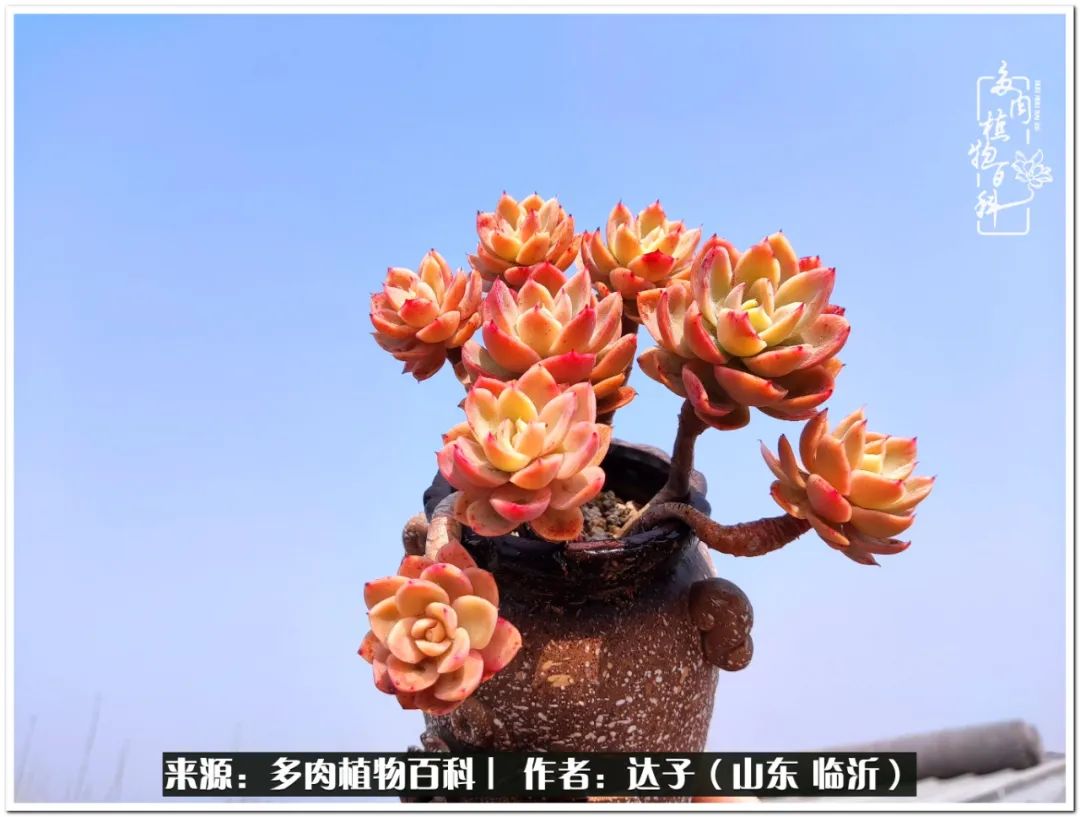 活在当下珍惜眼前平凡的生活,活在当下感慨万千