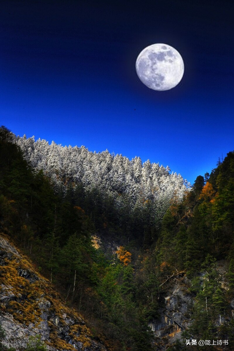 明月诗句经典古诗,一树梨花一溪月不知今夜属何人