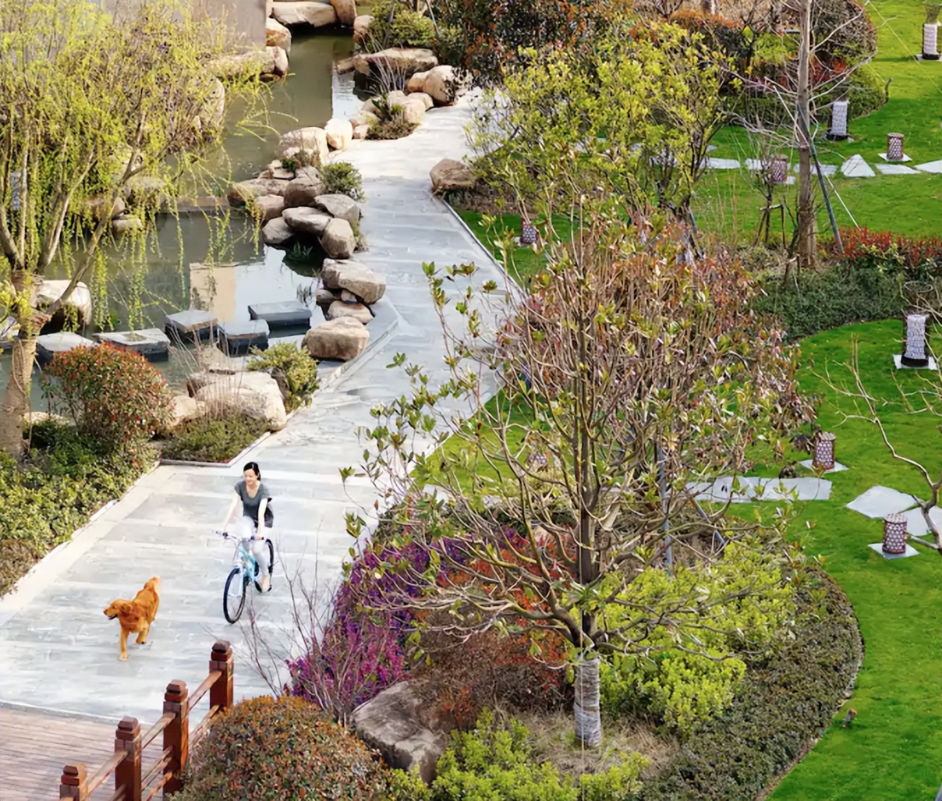 魔都宠物天地,魔都周边宠物友好景区