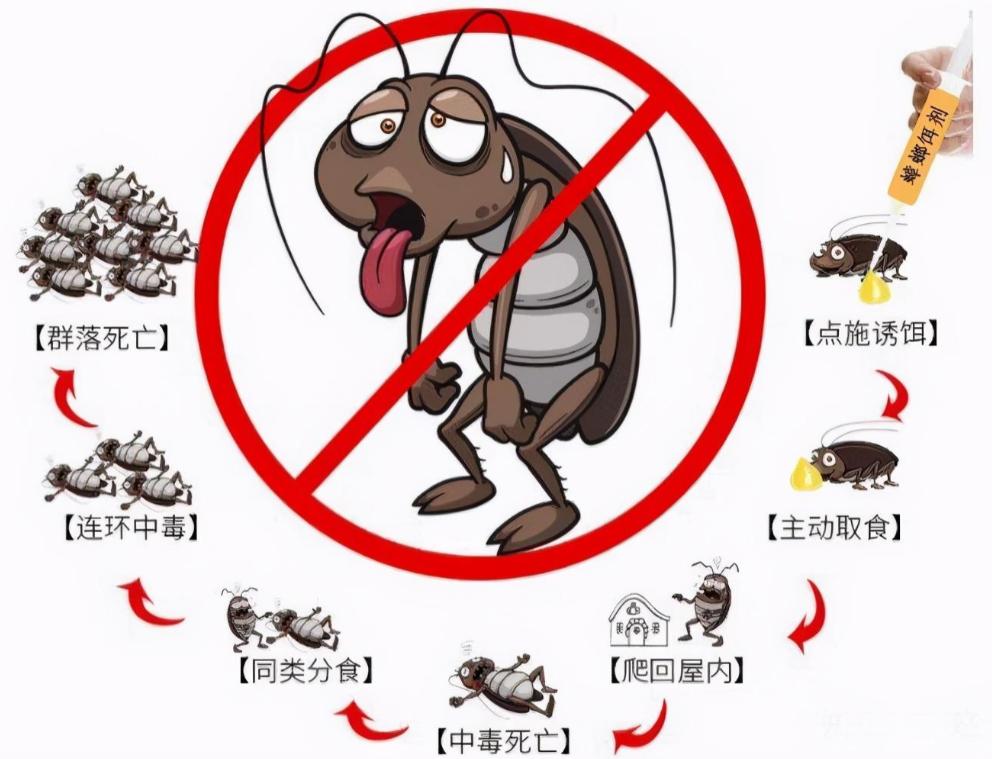 男子发现隔壁女租客房门口爬满蟑螂，开门一看吓懵：密密麻麻一屋