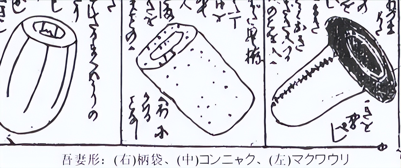 玩飞机杯就是不正经？