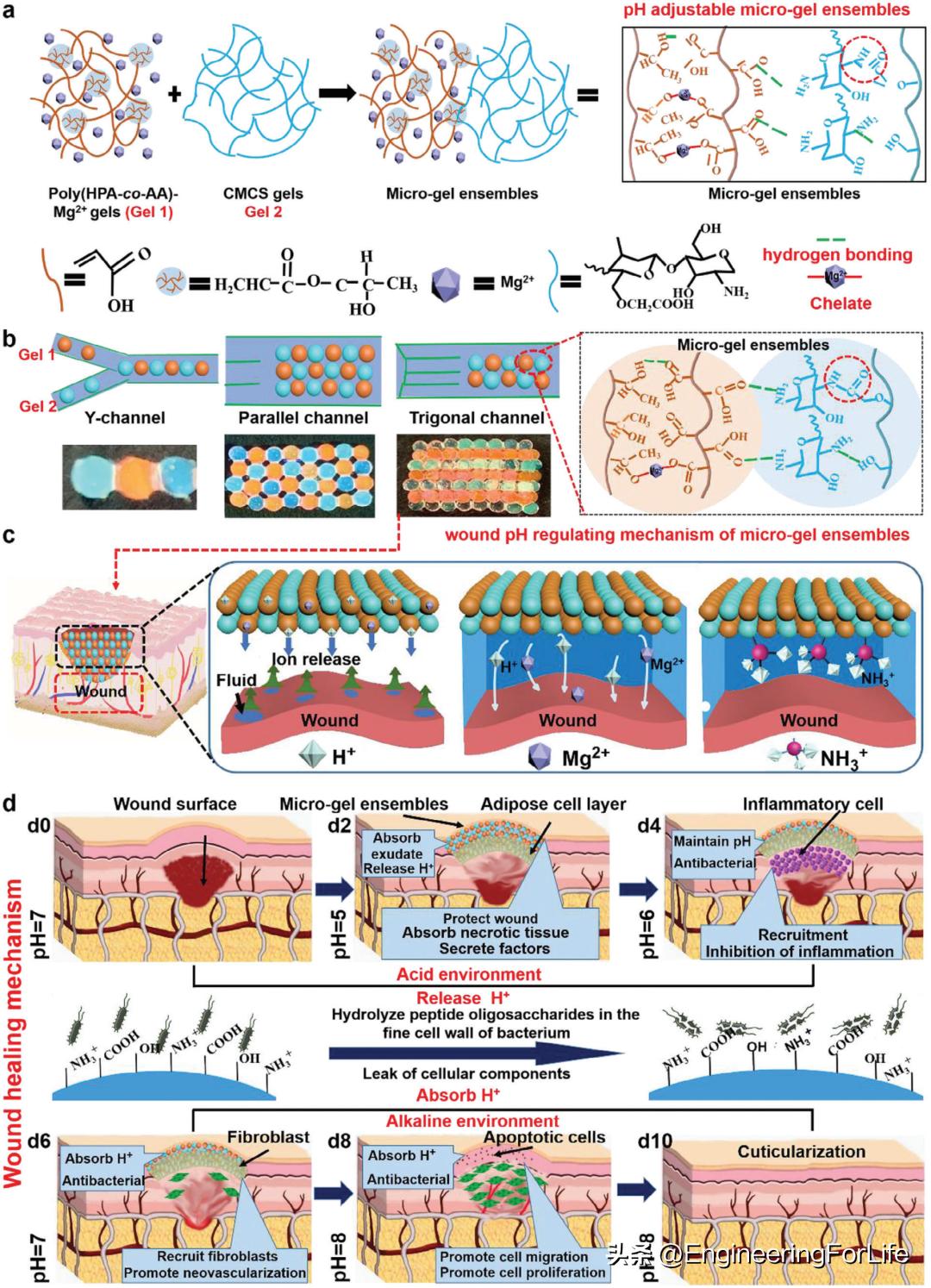水凝胶微球国内有吗,高分子微球水凝胶