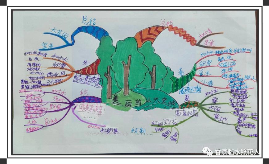 教你用思维导图学语文,语文思维导图20课小兴安岭