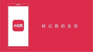 小红书优化关键词排名软件,小红书搜索引擎优化什么意思