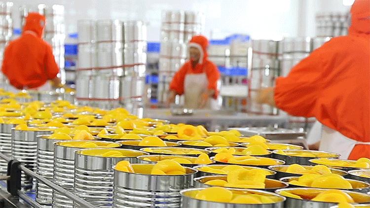 黄桃罐头能量高吗,黄桃罐头神一般的存在