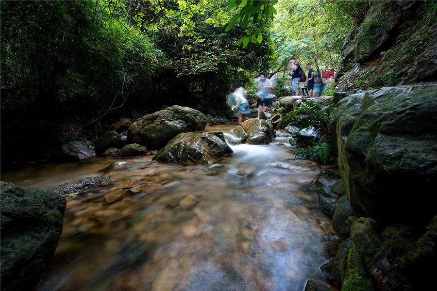 旅游年卡飞熊乐园,水上乐园年卡团购限几人