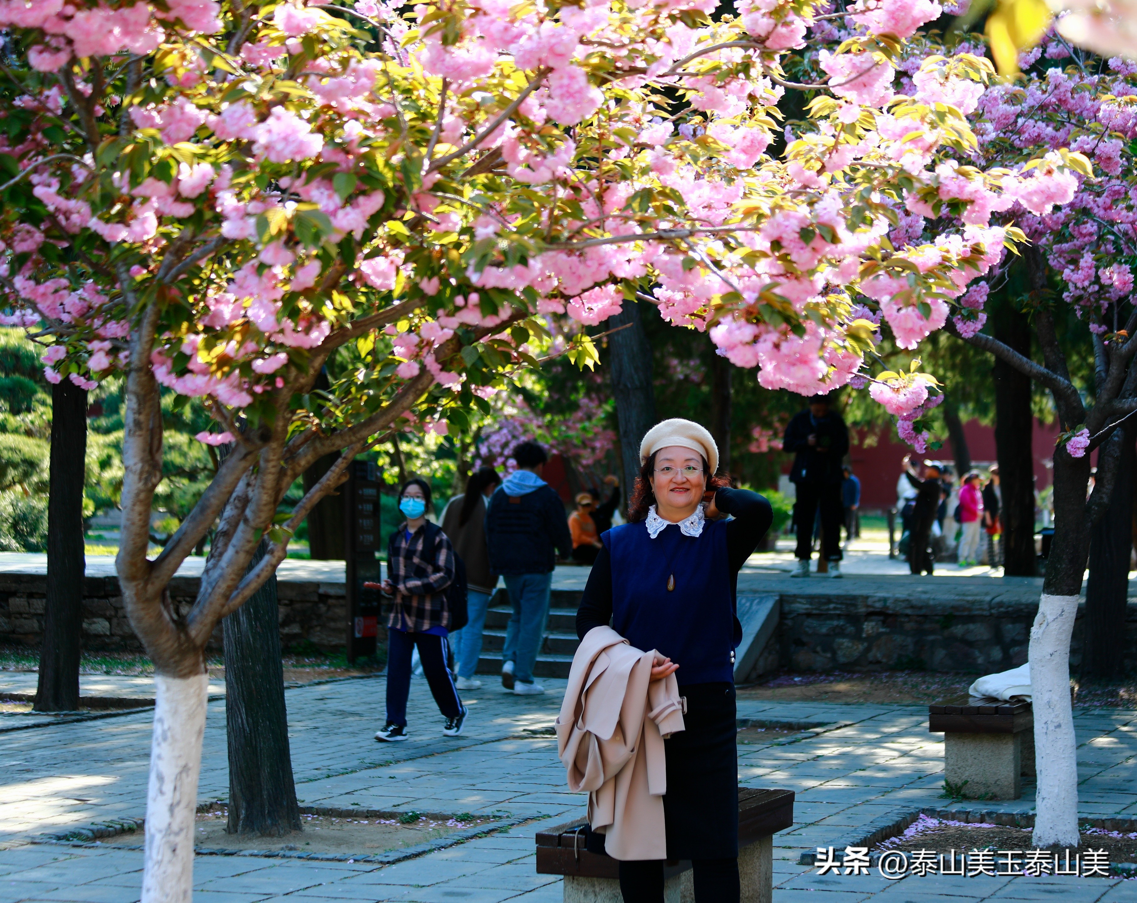 山亭寺沟樱花,定山溪樱花