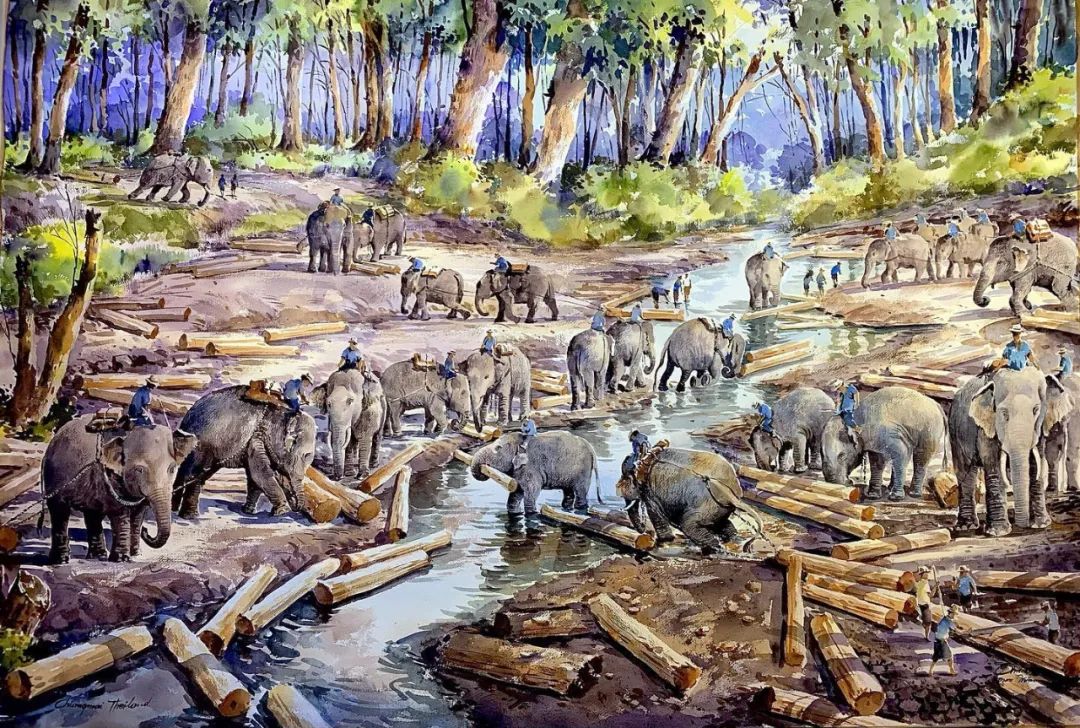 泰国水彩,泰国水彩画家绘画过程