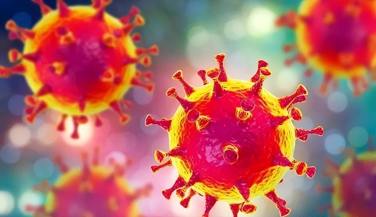 沈阳老太一人坑一座城,一人坑一城是真的吗