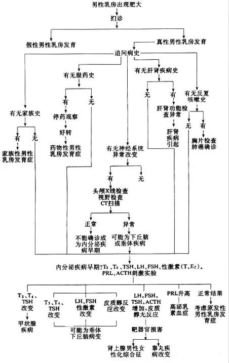 乳腺增生跟有没有男朋友有关系吗,男生乳腺增生可以通过锻炼治愈吗