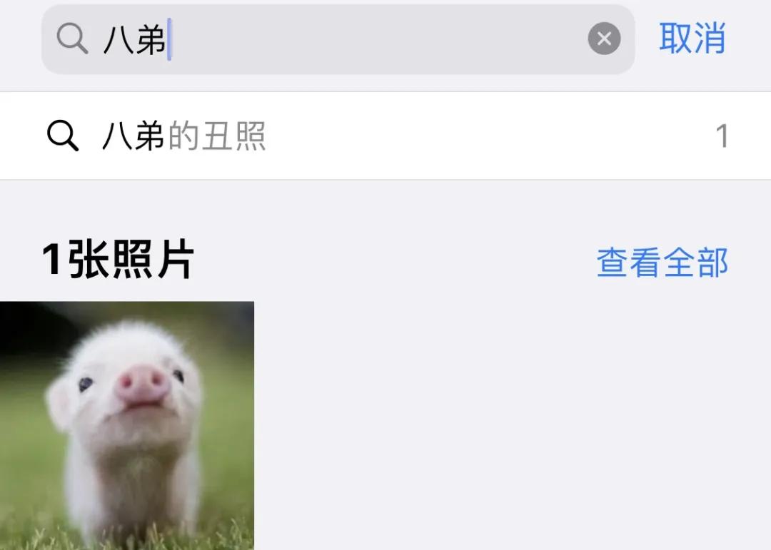iphone相册权限在哪里打开,iphone私密相册怎么打开