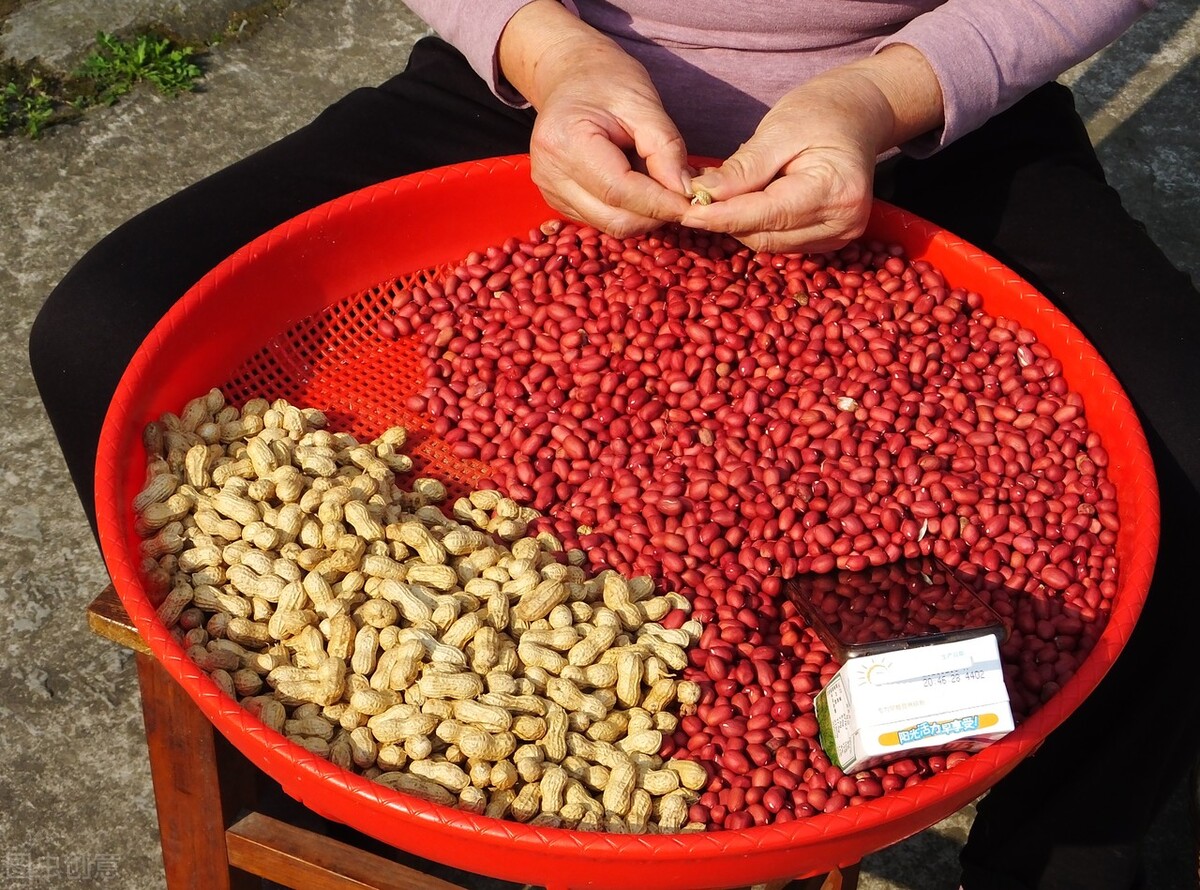 儿童写作业怎么补,孩子写作业分不清格式怎么办