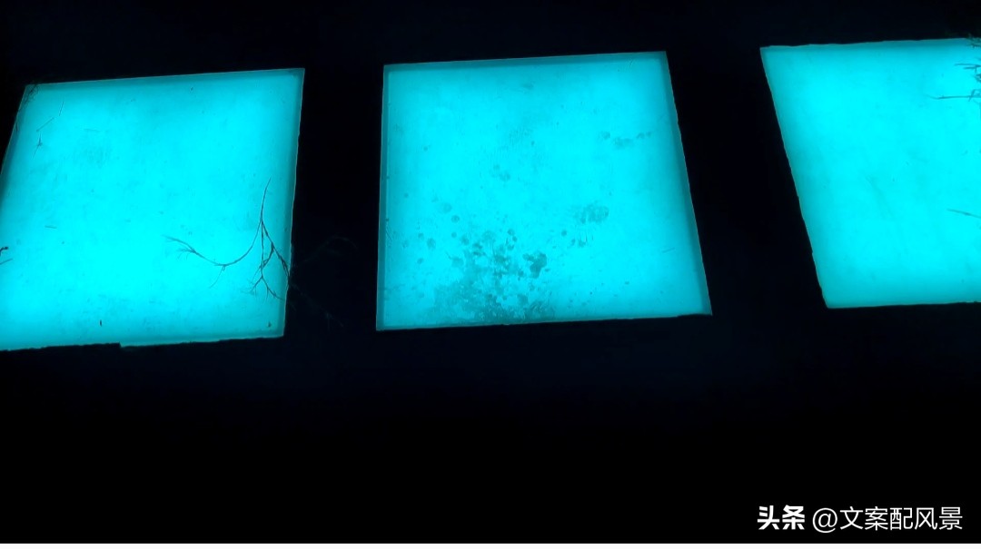 轮船港滨水公园什么时候建好,轮船港滨水公园