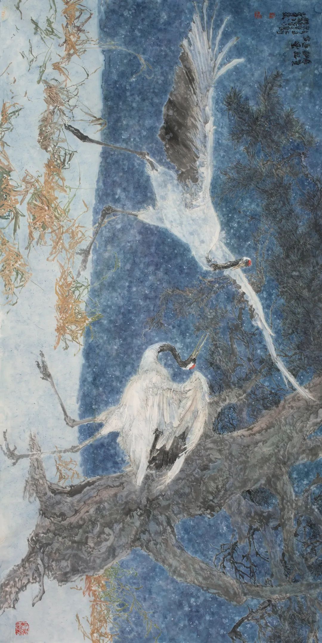 时代审美演变,时代审美和个人审美