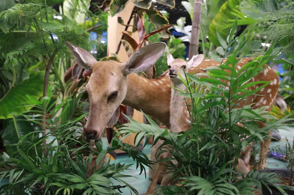 天府农博游玩心情,天府农业博览园一日游