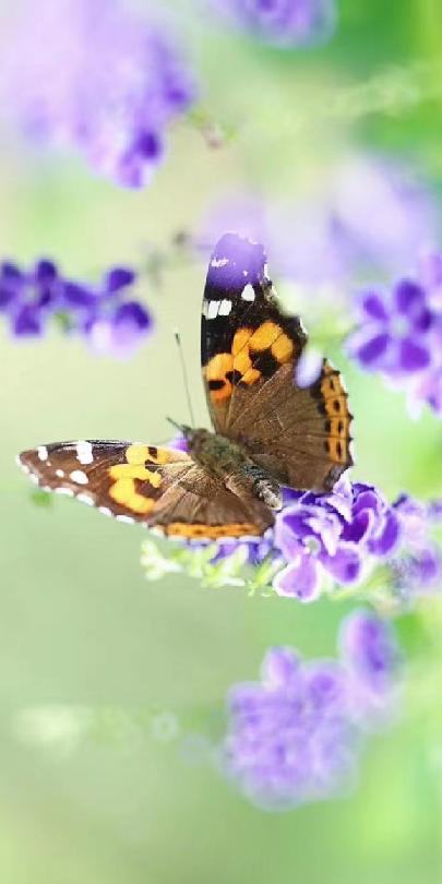 五一的常州,常州的五一