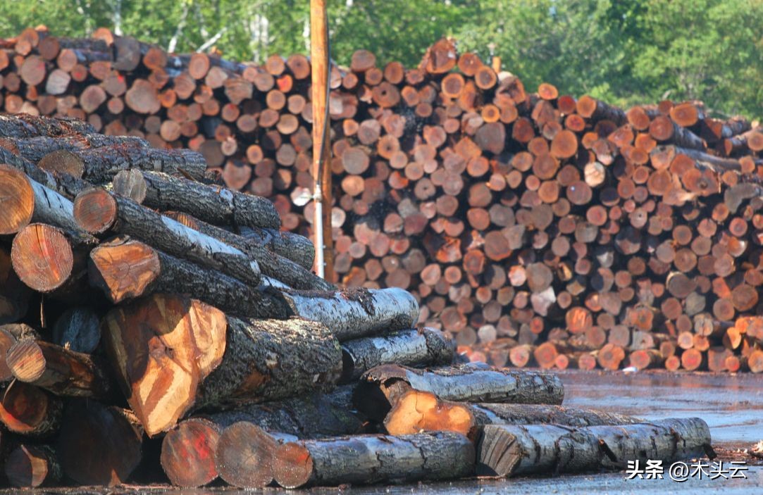 欧盟出口了大量的商品,中国木材出口欧洲