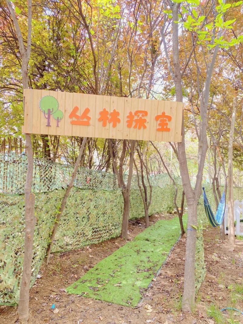 假日模式去哪里玩,假日旅游模式开启