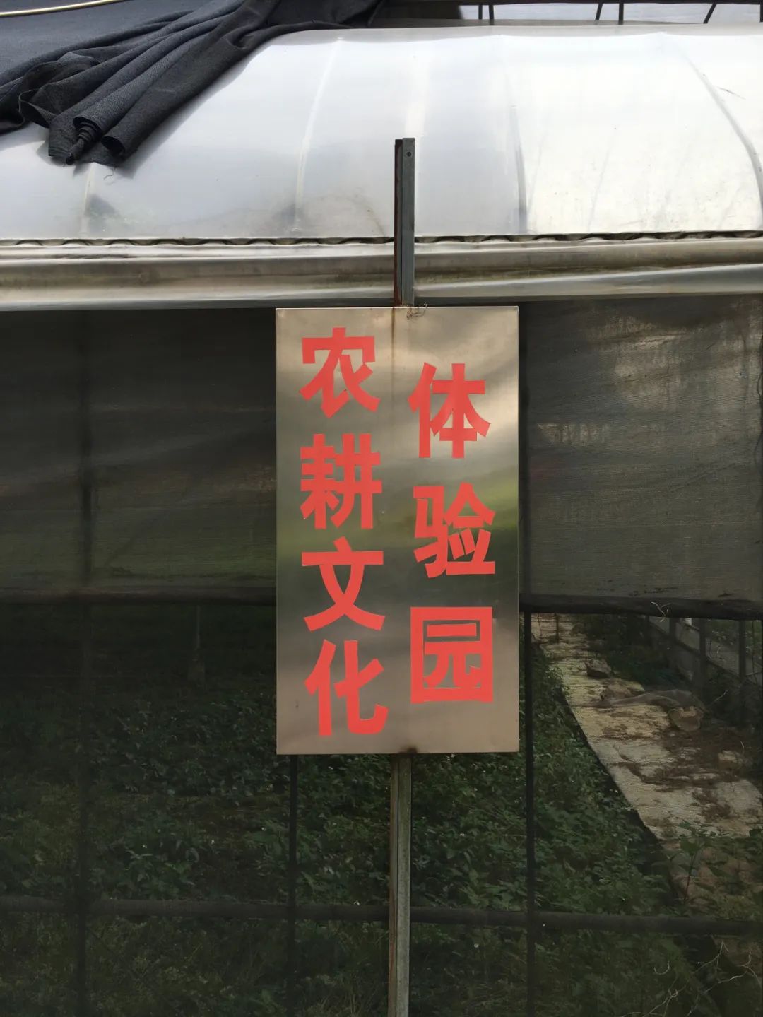 旭光车行雅迪电动车,旭光单车