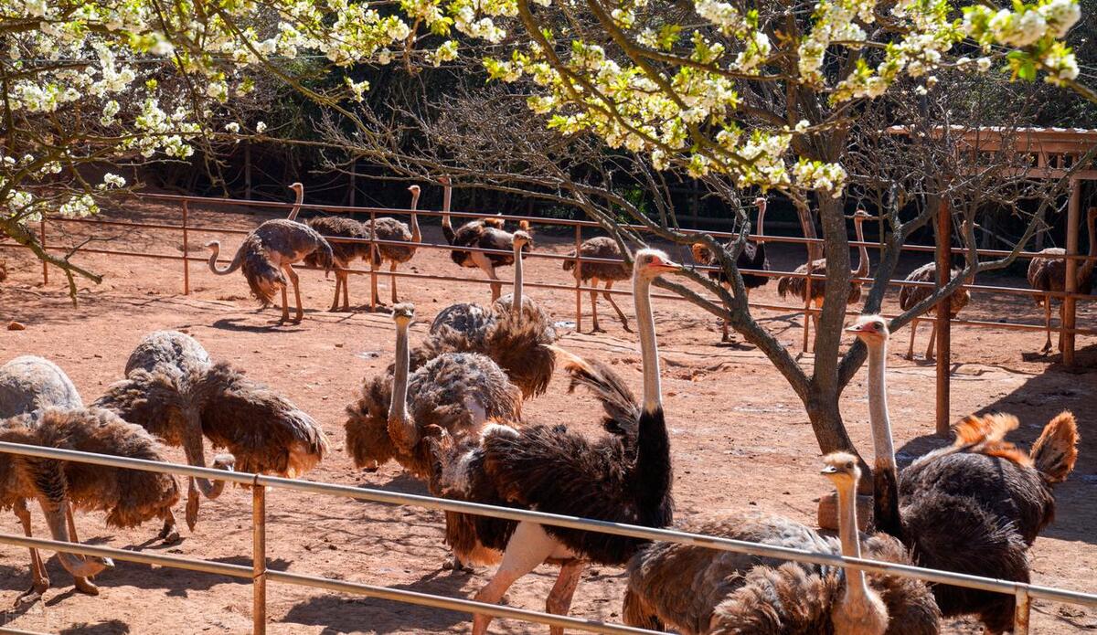 当代年轻人返乡创业做什么,什么是新农人大学生返乡创业